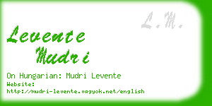 levente mudri business card